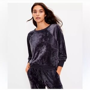 LOFT Charcoal Velvet Top